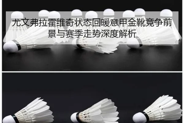尤文弗拉霍维奇状态回暖意甲金靴竞争前景与赛季走势深度解析