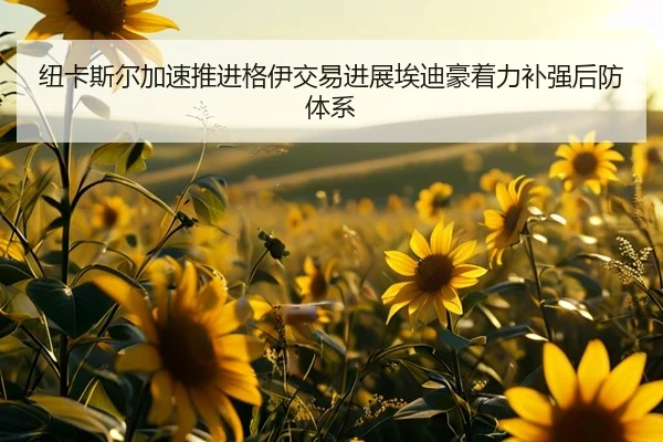 纽卡斯尔加速推进格伊交易进展埃迪豪着力补强后防体系